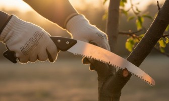ویژگی‌های یک اره باغبانی خوب؛ راهنمای انتخاب حرفه‌ای باغداران